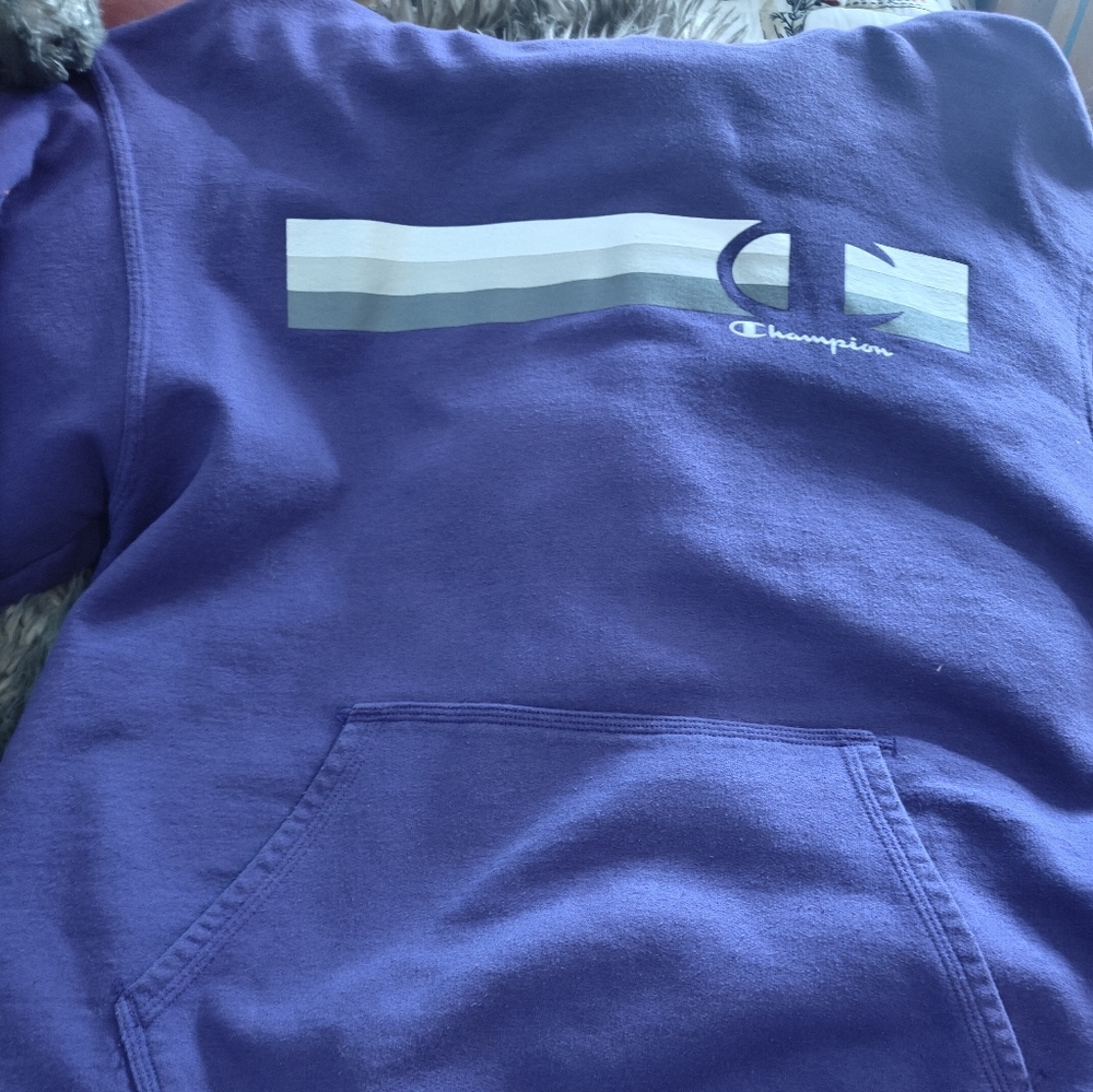 Champion Athleticwear in Gray and Purple